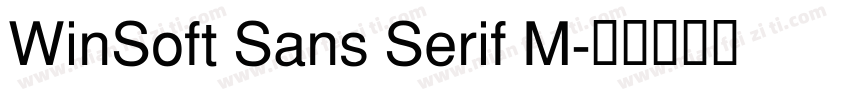 WinSoft Sans Serif M字体转换